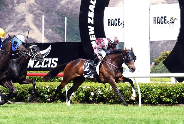 Stable favourite delivers timely win