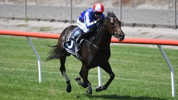 Alabama Lass on black-type hunt