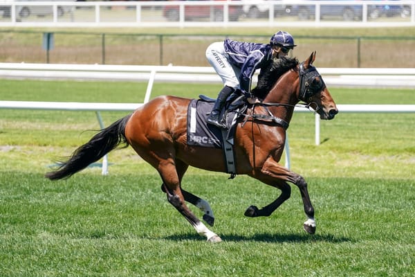 Rolling along to settle Lad for Launceston