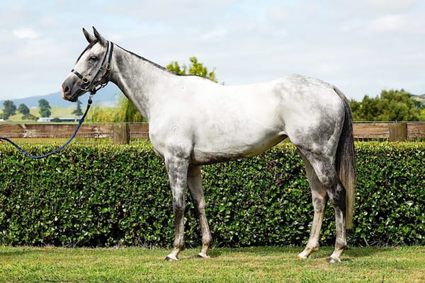 Rider reunites with Aromatic