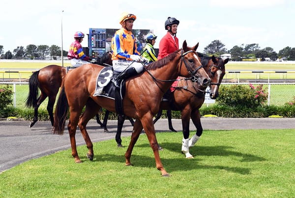 Class Te Akau filly wins Taranaki juvenile feature