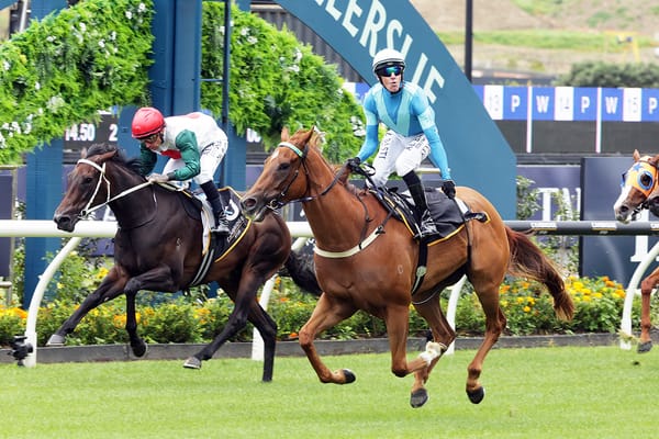 Kennedy chooses Crocetti in Group One