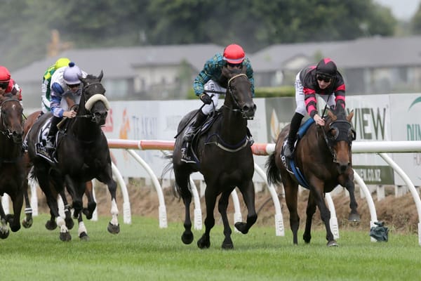 Kingfisher back to winning form at Te Rapa