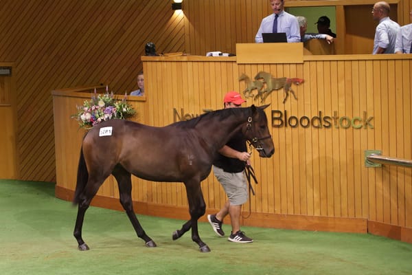 Strong Finish to Close Outstanding Karaka 2024
