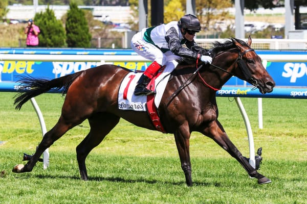 Brightside no guarantee to run in Feehan