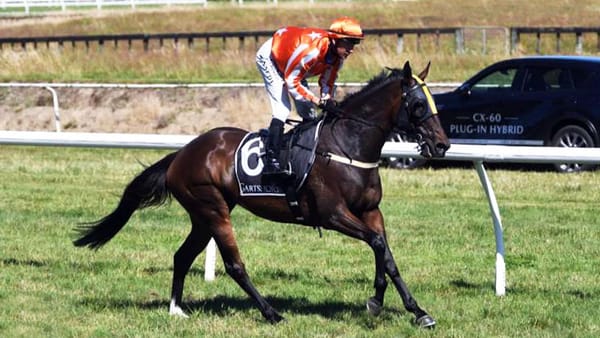In-form stable tackles Taranaki features