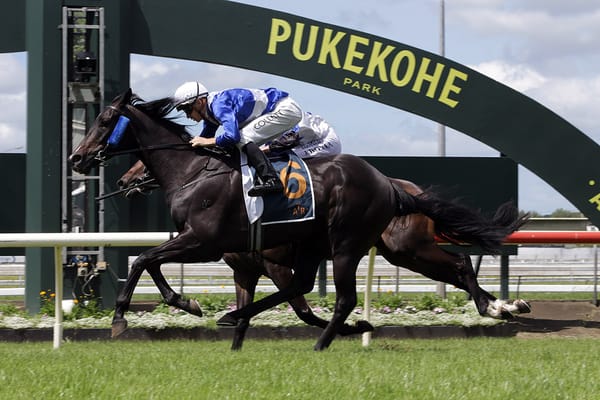 Trust In You preparing for spring stakes targets
