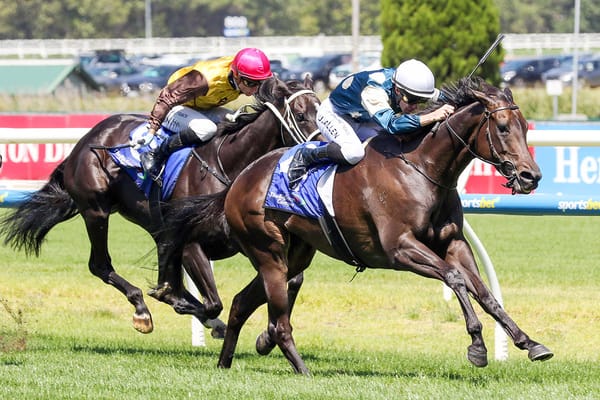 Group Three win for brave Proisir mare