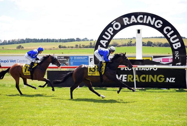 Queensland jockey to make NZ debut for Wexford in Trentham features