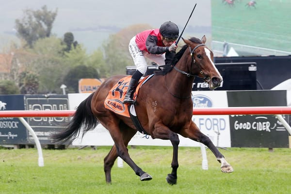 Tarzino Trophy weather dependent for Mustang Valley