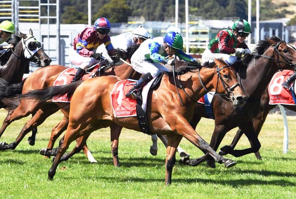 Stakes target next for Nereus