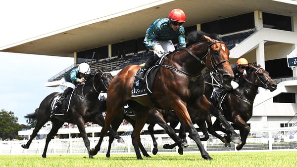 Pericles looking to continue owners stellar run