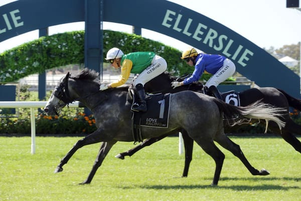 Te Akau mares shine on both sides of the Tasman