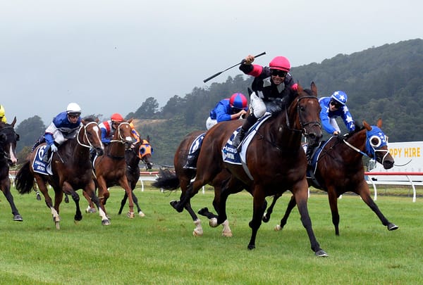 Patterson chasing trans-Tasman features