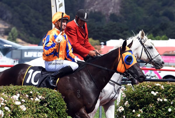Quintessa ready for Australian Guineas test