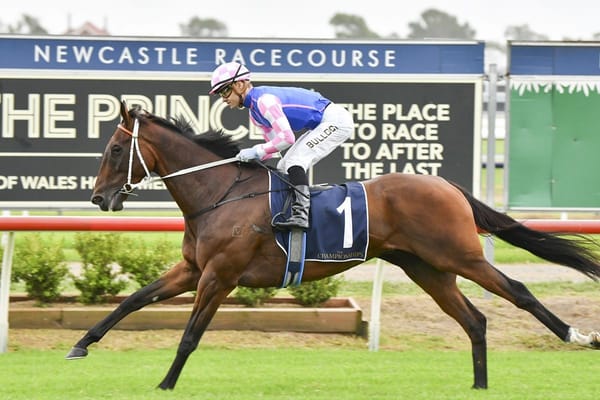 Gibbons has Time pencilled in for wet track victory