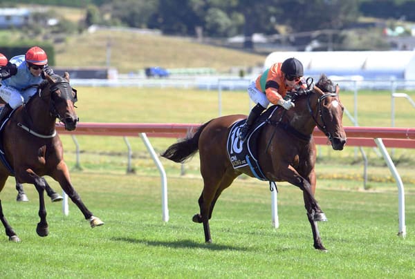 Farm hack longshot wins at Taupo