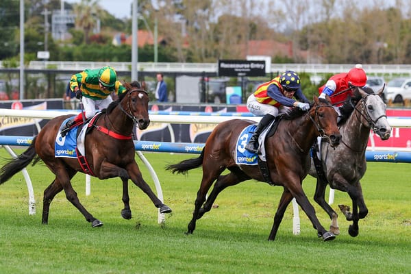 Desperado gets Caulfield victory in driving finish