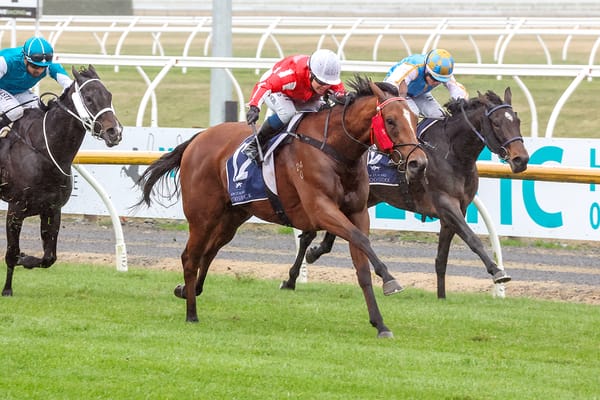 Pitmans hold strong hand in Kurow Cup