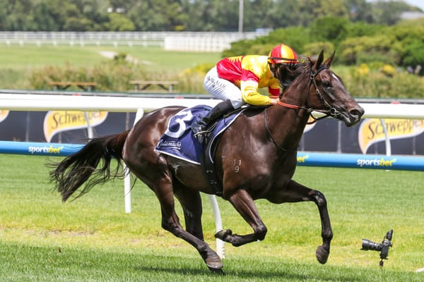 Eternal Flame strikes hot Group One field