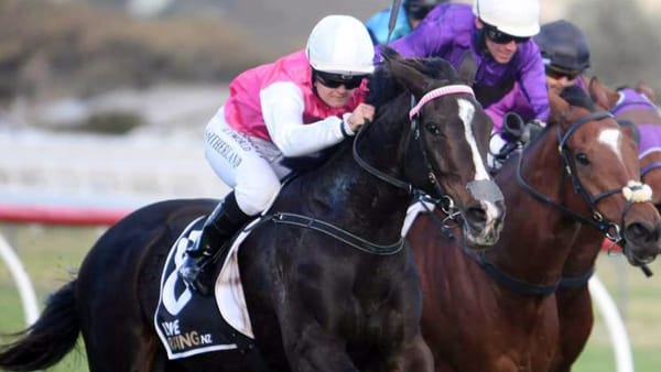Princess Elly popular winner at Wanganui