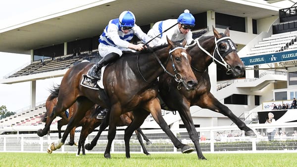 ATR reveals plan of attack following Ellerslie abandonment