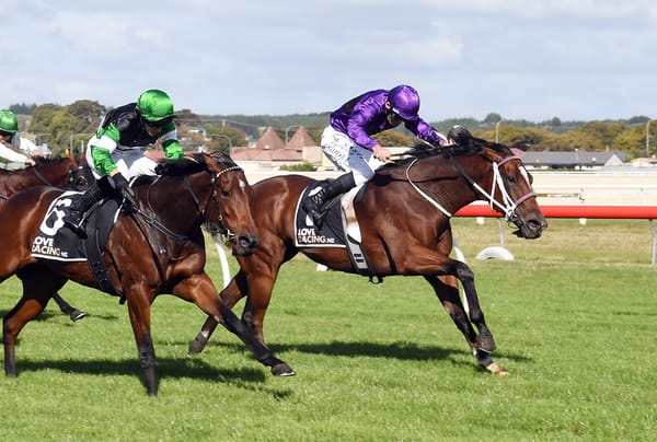 Lantern Way lands Wanganui win