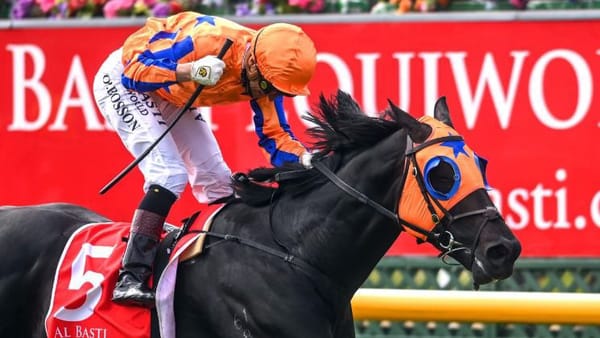 Regally-bred colt to make debut at Rotorua