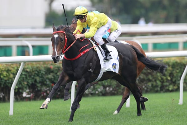 Hugh Bowman hopes to coax best from Lucky Sweynesse