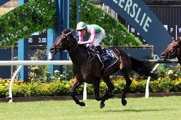 Forsman feeling positive ahead of weekend racing