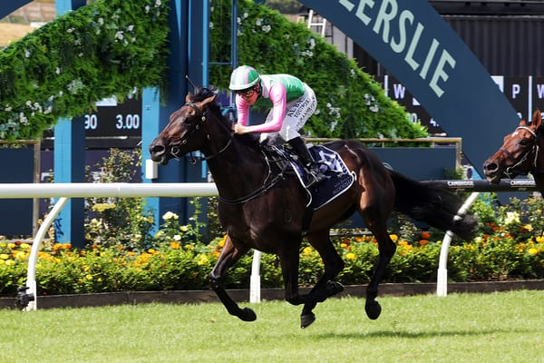 Forsman team on track for Australian targets