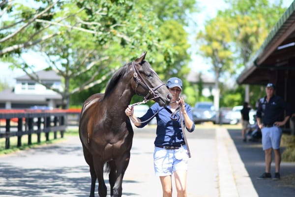 Tuthill joins training ranks