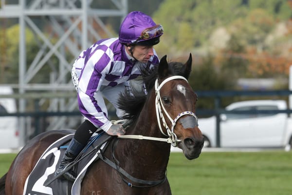 Casino Princess earns Tauranga Classic shot