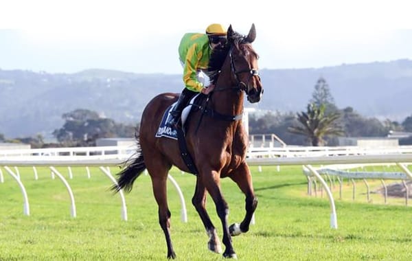 Heavy conditions only concern for Harrison