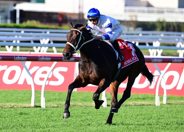 Kovalica to relish Doomben Cup trip