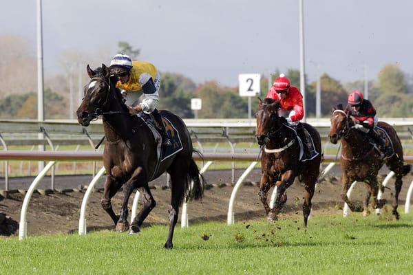 Mary Shan strikes at Pukekohe