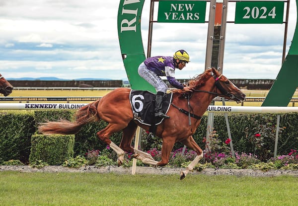 Riviera Rebel to target Winter Cup