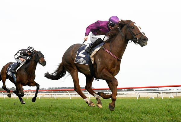 Belardo Boy bang on for Cup test