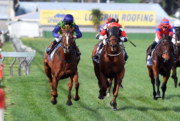 Matamata mare capitalises on Wanganui trip