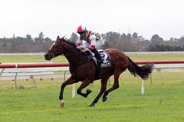 Malt Time in top form for Tauranga Classic