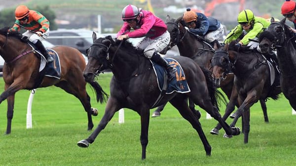 Moonlight Magic ready to shine at Eagle Farm