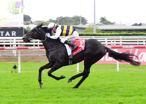 HK offers for Warmonger knocked back