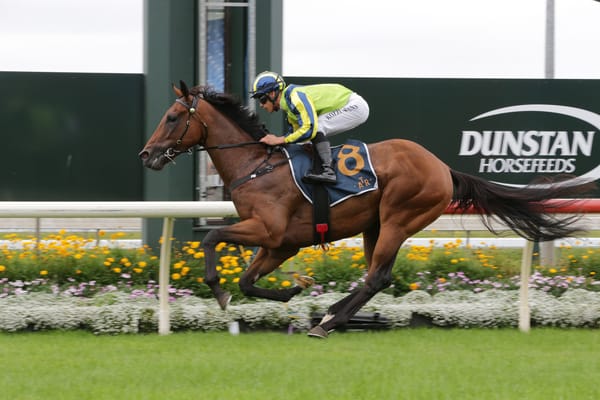 $175k Bonus Challenge and Public Slot Auction Headline New NZB Kiwi Initiatives