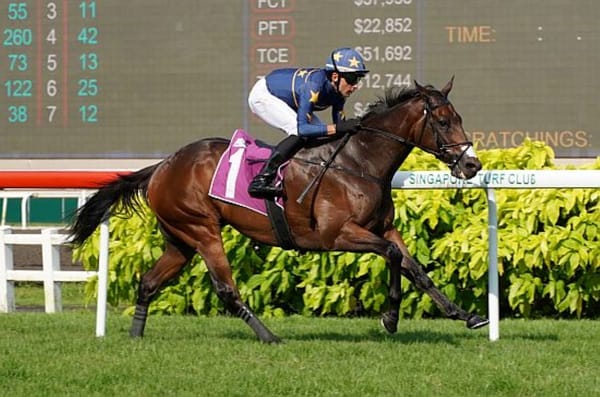 Lim's Kosciuszko wins third Lion City Cup