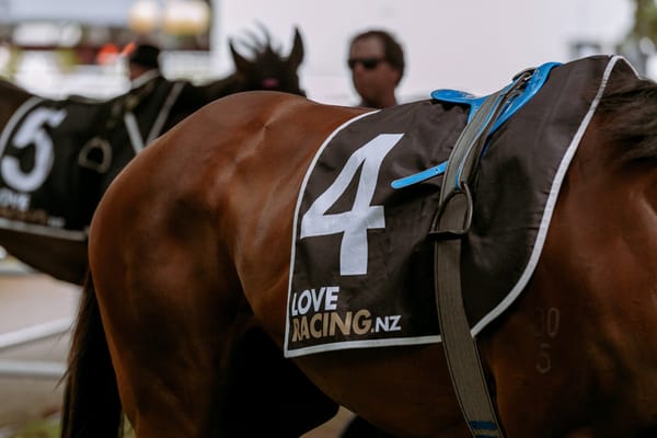 Frustrating week for thoroughbred industry