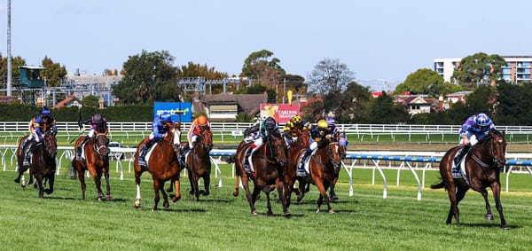 Trelawney Stud crowned Breeders of the Year