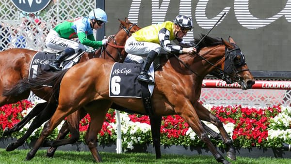 High-class mare Prowess coming up for sale on Gavelhouse Plus