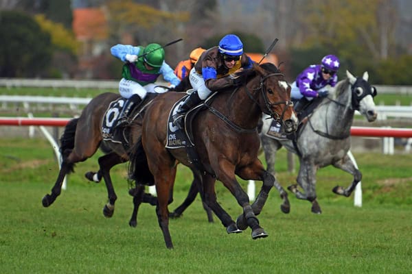 Nelson and McDougal excited to try to add to their illustrious Wellington jumps record