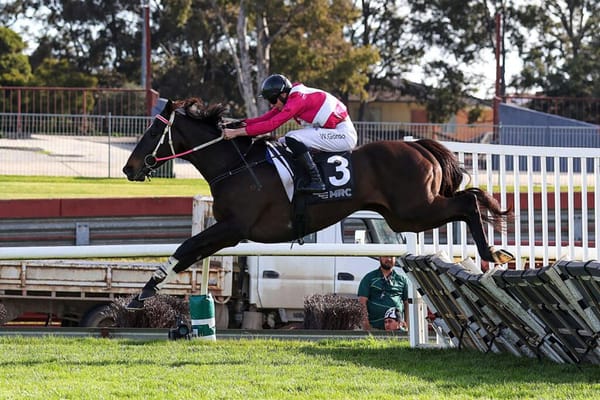 Goodwin thrilled with Grand National victory