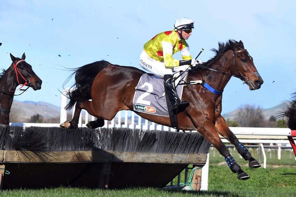 Pakuranga trip a key for Country Bumpkin